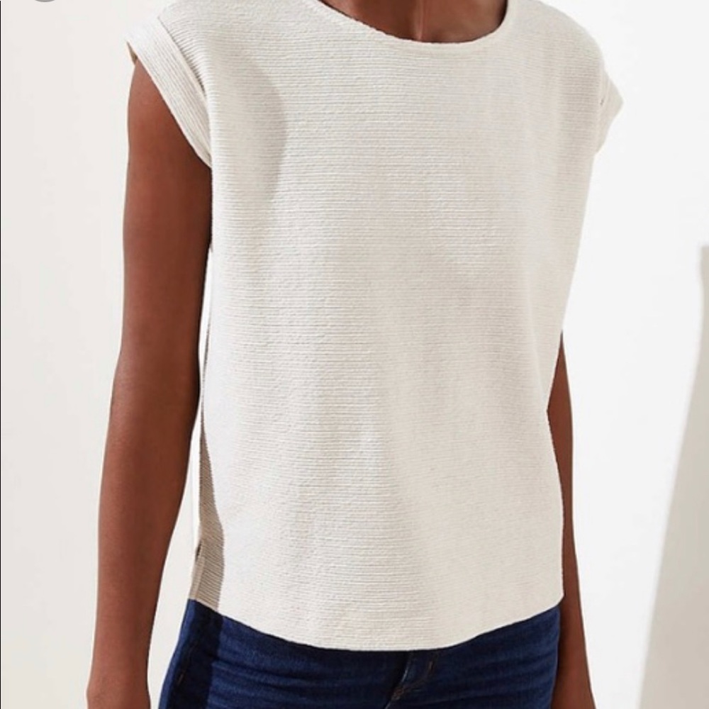 Loft Dolman Top